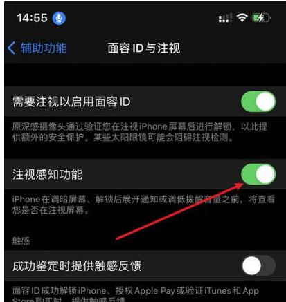 台前苹果14维修网点分享iPhone14注视感知功能有什么用 